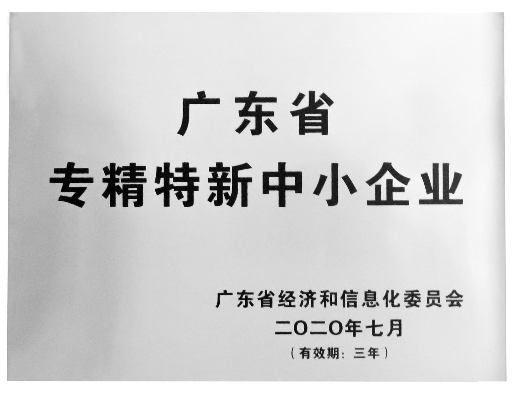 2020年专精特新中小企业